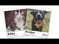 WAGNER TAILS Abby and Kimbo