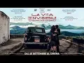 Video di LA VITA INVISIBILE DI EURÍDICE GUSMÃO - Trailer ufficiale - dal 12 settembre al cinema