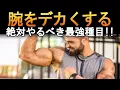 Download Lagu If you want to get bigger arms, do this! A scientifically explained explanation of the most power...