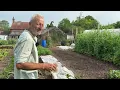 Download Lagu 4 Easy Composting Methods to Transform Waste into Rich Mulch \u0026 Potting Mix | No Dig Gardening Tips