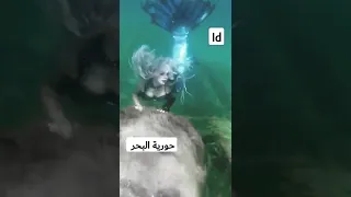 حورية بحر حقيقية  حورية بحر حقيقية