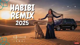 Top Arabic Remix 2025 Mystic Vibes Arabian Sunset Chill 