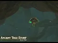 Ancient Tree Stump Cave Legend of Zelda Tears of The Kingdom