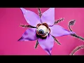 Barry Can’t Swim - 'Can We Still Be Friends? (with Laurence Guy)' (Official Audio)