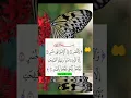 Download Lagu Surah Al-ASR#egnozibrahimi