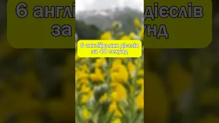 6 Rare English Verbs That Will Make Your Language Impressive 