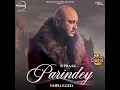 Parindey (From "Jatt Nuu Chudail Takri") (Unplugged)
