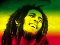 Download Lagu Bob Marley - I'm A Rainbow Too (Fatboy Slim Techno Remix)