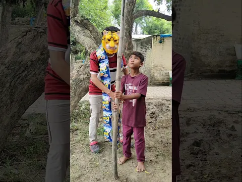 Ram bhakt ki kahani 🚩🙏🏼 | ram ji status | jai shree ram | help bird 🐦 🥰 #shortsfeed​  #funny​ ‪