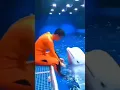 Download Lagu Cute Dolphin Short video #shorts #youtubeshorts #rnvlogs #viral #dolphin