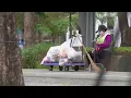 陳雷-心愛的甭哭sim ài ê bàng khàu【KTV導唱字幕】(羅馬拼音Roman pinyin｜Luómǎ pīnyīn)