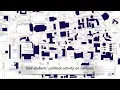 Student Activism in Berkeley