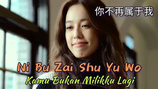 ni bu zai shu yu wo kamu bukan milikku lagi dengan lirik dan terjemahan indonesia