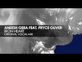 Aneesh Gera featuring Pryce Oliver - Iron Heart (Original Vocal Mix)