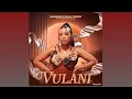 Lagu MaShandu, Dlala Thukzin - Vulani (Official Audio) | AMAPIANO 2025