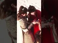 Download Lagu ChenFeiyu Dilraba's closeness on set #迪丽热巴#dilraba#dilireba#chenfeiyu #lovebeyondthegrave#cdrama#陈飞宇