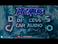 MA NIGGA EL ALFA DOBLE TONO CAR AUDIO DJ CARLOS   DJ CESS