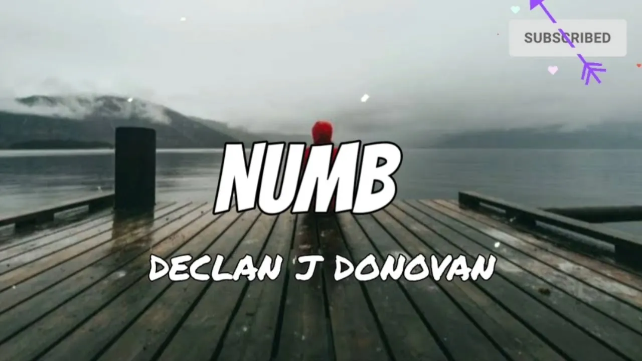Numb - Declan J Donovan (lyrics) Numb - Declan J Donovan (lyrics)