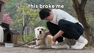 we left seoul to relax but found something we couldn t ignore