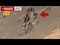 Lagu Mars' Perseverance Rover Sent Most Remarkable Footage of A River Delta! Search For Ancient Life! 4K