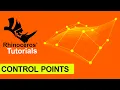 Master Rhino Control Points Guide