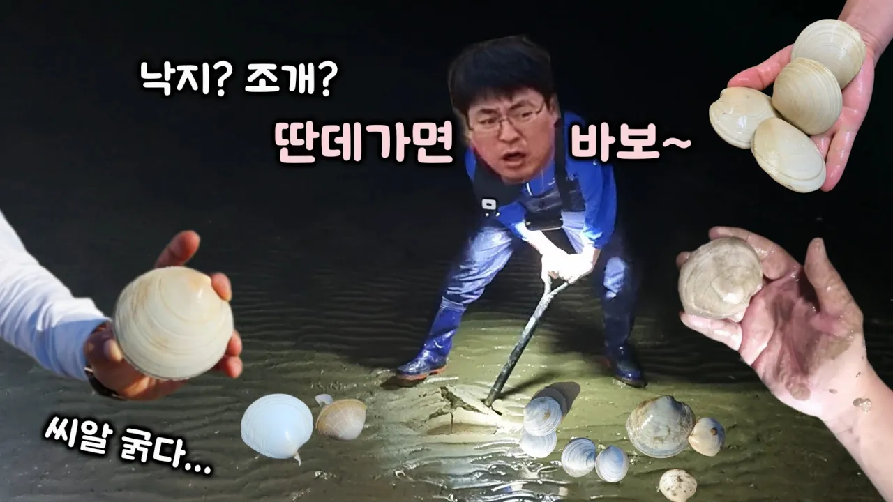 고사포 해수욕장 야간 해루질, 해루질 포인트, 조개밭, 낙지까지~?  #하섬해루질 サムネイル