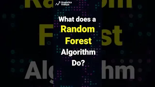 What does a Random Forest Algorithm do Random Forest explained Must watch