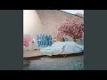 Download Lagu Kayo