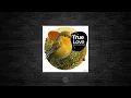 Download Lagu Premiere: Diego Knows \u0026 Majak - True Love (Dub Mix) - Intimate project music