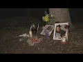 Elk Grove hit-and-run leaves family grieving suspect out on bail