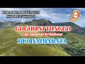 Lagu KARAOKE GOGOH NI TONGGO NADA CEWEK