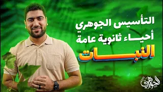 01 التأسيس الجوهري في الأحياء الجزء الثاني النبات الدعامة في النبات 