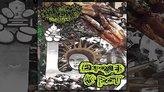 Download Hallucination Realized / Exposed As Rot - split CD/CS FULL ALBUM (2018 - Grindcore) MP3