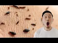 Korean Body Scrub Mens King Spa Virginia