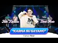 Download Lagu Nella Kharisma - Karna Su Sayang (Official Music Video)