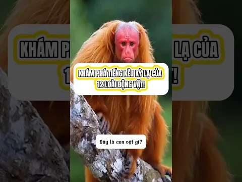 Khám phá tiếng kêu kỳ lạ của 12 loài động vật! 🐒🐻🐺 Bạn đã từng nghe tiếng kêu nào chưa? 🤔