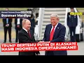 Download Lagu TRUMP BERTEMU DENGAN PUTIN DI ALASKA !!! NASIB INDONESIA AKAN DIPERTARUHKAN ?!! - Mardigu Wowiek