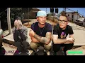 Blink 182 - One More Time (HQ)