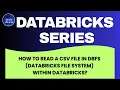 How to Read a CSV file in DBFS Databricks File System within Databricks