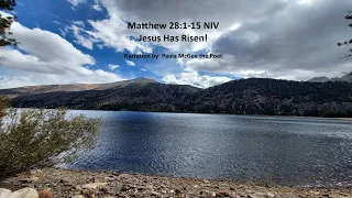 Matthew 28 1-15 NIV