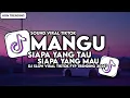 Download Lagu DJ MANGU FOURTWNTY SIAPA YANG TAU SIAPA YANG MAU SLOW VIRAL TIKTOK 2025