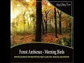 Forest Ambience - Morning Birds: Nature Sounds for Meditation, Deep Sleep, Spa, Healing, Relaxation
