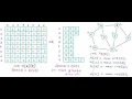 Graph Representation part 03 - Adjacency List
