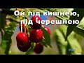 Тріо Маренич - Ой під вишнею, під черешнею