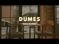Download Lagu DUMES - SHINTA ARSHINTA (FULL LIRIK)