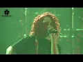 NEMOPHILA / ZEN [Official Live Video]