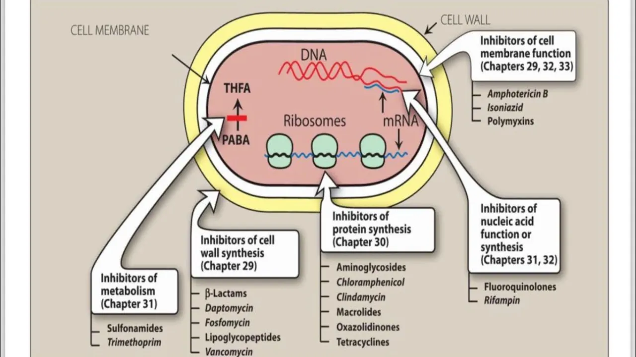 General principles of Antibiotics | Pharmacology