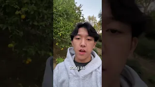 If Anime Said Its Name Mid Episode Anime Onepiece 