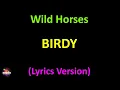Birdy - Wild Horses (Lyrics version)