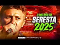 Download Lagu Doge Sucessos Só As Melhores O Maior Bregueiro Do Brasil